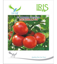 Tomato Iris F1 Meghraj-96 10 grams